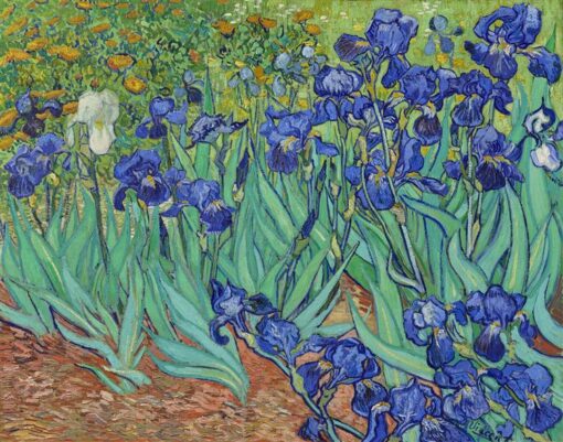 Irises by Vincent van Gogh – 1889 Iconic Painting of Floral Beauty and Artistic Expression